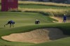 Min Woo Lee of Australia, left, Justin Rose of England, centre, and Nicolai Hojgaard of Denmark prepare to plays their second shot at the 3rd hole during the second round of Abu Dhabi Golf Championship in Abu Dhabi, United Arab Emirates, Friday, Nov. 8, 2024. (AP Photo/Altaf Qadri)