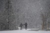 A major storm bringing snowfall amounts of up to 50 centimetres in some locations followed by freezing rain Monday is forecast to hit much of British Columbia's central and northwest regions. Heavy snow falls as pedestrians walk through Central Park in Burnaby, B.C., on Tuesday, November 29, 2022. THE CANADIAN PRESS/Darryl Dyck