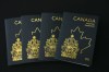 The new Canadian passport is unveiled at an event at the Ottawa International Airport in Ottawa on Wednesday, May 10, 2023. THE CANADIAN PRESS/Sean Kilpatrick