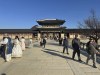 Tourists wearing traditional clothing rented from nearby shops pose for photos at at Gyeongbokgung Palace, in Seoul, Wednesday, Dec. 4, 2024. (AP Photo/ Jennifer McDermott)