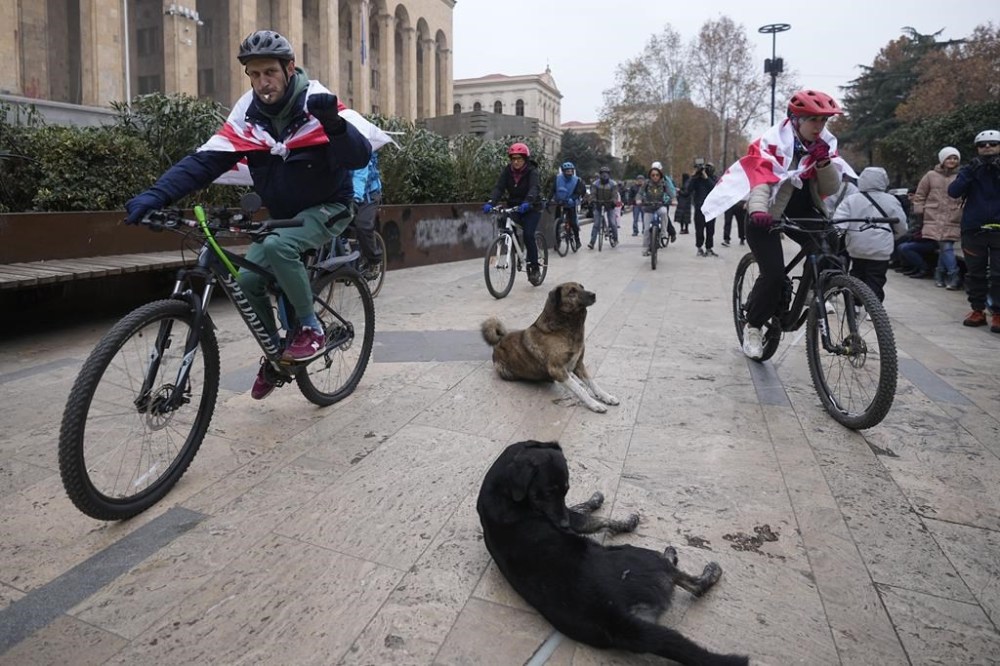 Demonstrators draped in the Georgian national flags cycle next to the Georgian parliament in Tbilisi, Georgia, Saturday, Dec. 7, 202, to protest against the government's decision to suspend negotiations on joining the European Union. (AP Photo/Pavel Bednyakov)