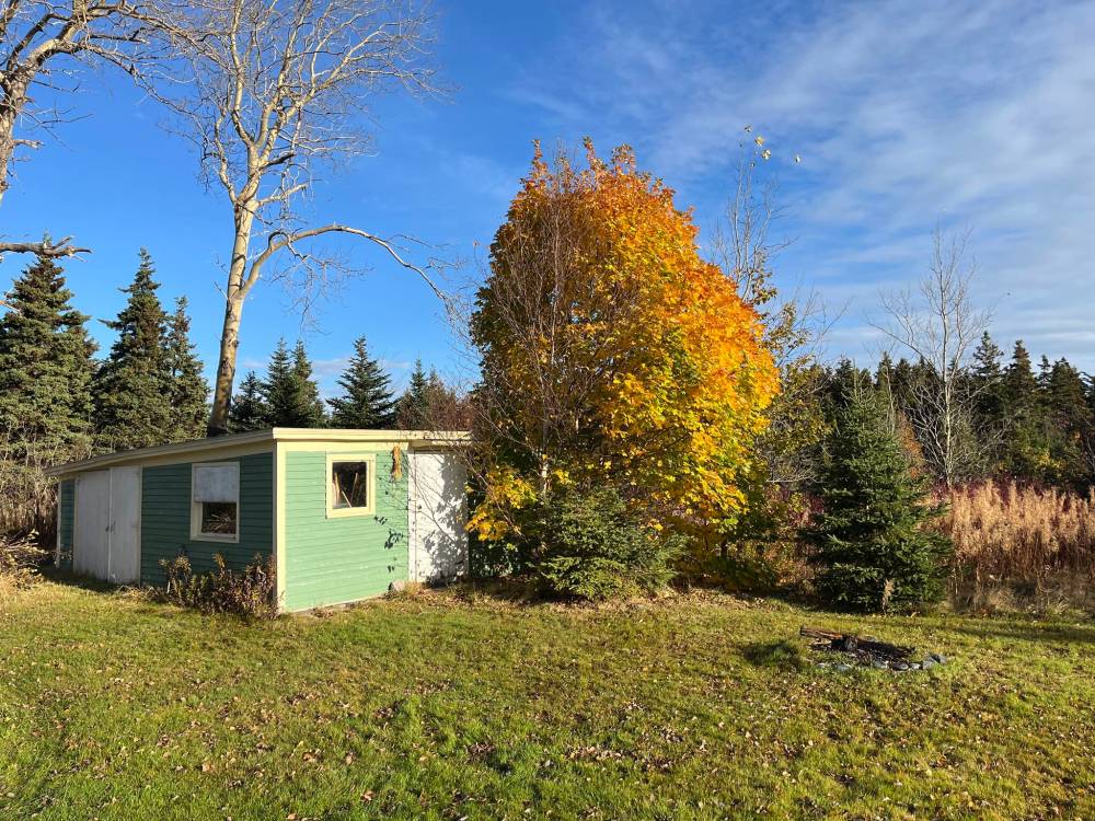 Russell Wangersky/Free Press
A maple tree stands ablaze with fall colour.