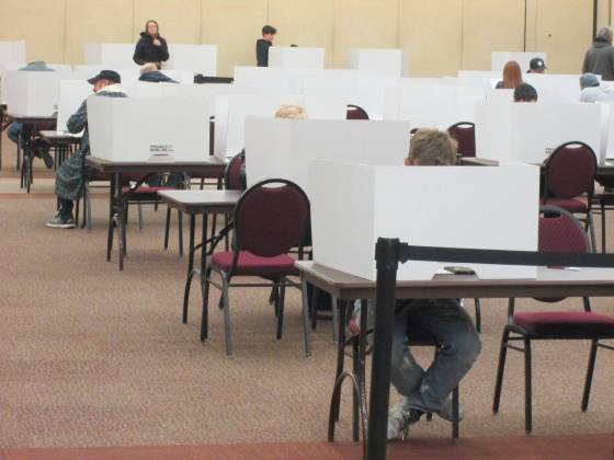 Cass County residents vote at the Fargodome on Friday. (Adam Treusch / Free Press)