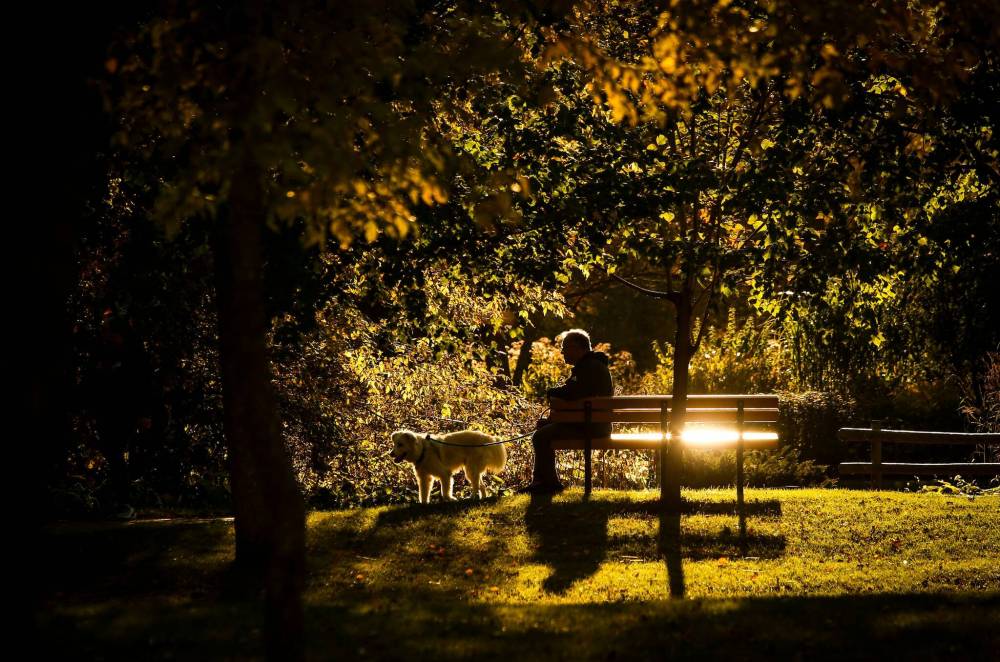 JOHN WOODS / WINNIPEG FREE PRESS
A person and their dog enjoy the warm weather and fall colours at Kildonan Park, Oct. 8. Why isn’t the City of Winnipeg recognizing the intrinstic value of greenspaces?
