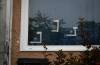 JESSICA LEE / FREE PRESS FILES
                                Bullet holes are visible in the window of Salah Falah Hasan’s Houde Drive home where he was shot and killed in July, 2022.