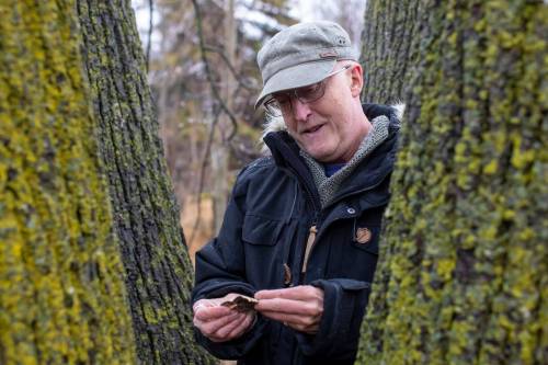 BROOK JONES / FREE PRESS
                                Poet Bertrand Nayet will write on anything, including birch bark.