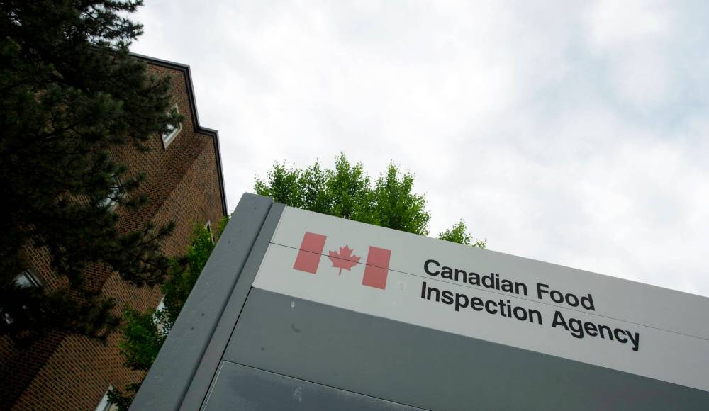 SEAN KILPATRICK / THE CANADIAN PRESS
CFIA labs utilize 60 different food-testing methods.