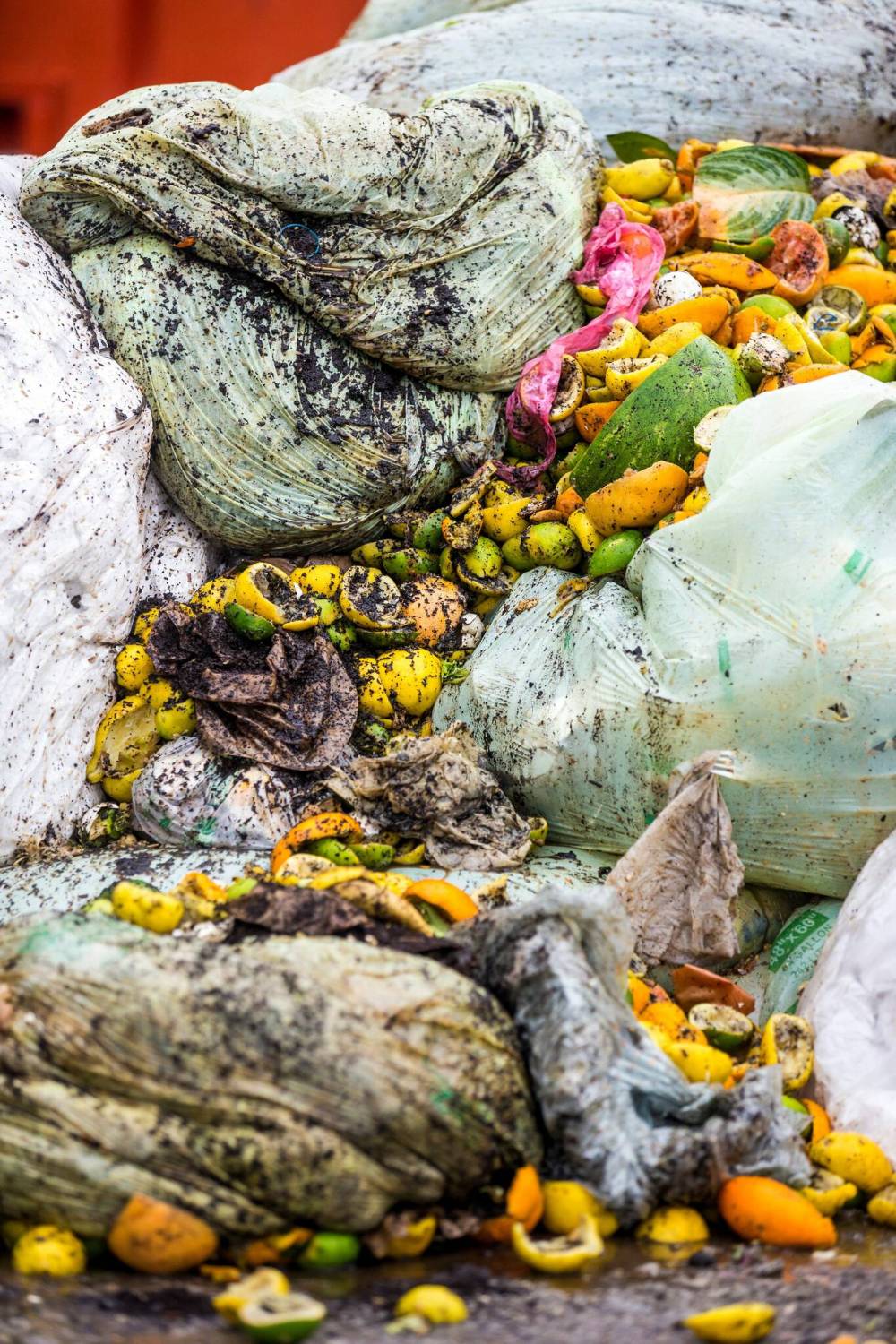 MIKAELA MACKENZIE / WINNIPEG FREE PRESs fileS
The city compost program’s time has come.