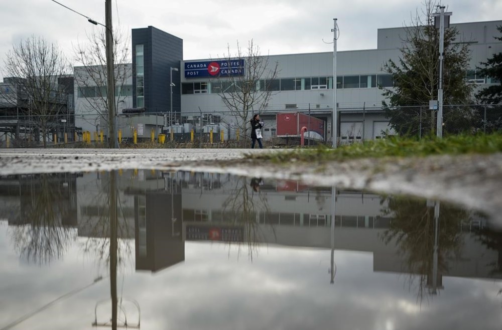 A member of the Canadian Union of Postal Workers (CUPW) pickets outside the Canada Post Pacific Processing Centre, in Richmond, B.C., on Wednesday, November 27, 2024. THE CANADIAN PRESS/Darryl Dyck