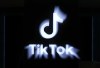 A TikTok sign on a display at the APEC summit in Lima, Peru on November 15, 2024. THE CANADIAN PRESS/Sean Kilpatrick