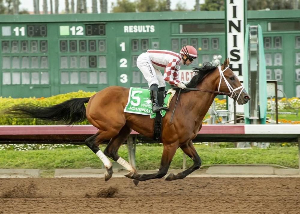 In this image provided by Benoit Photo, Journalism, with Umberto Rispoli aboard, wins the Grade II, $200,000 Los Alamitos Futurity horse race Saturday, Dec. 14, 2024, at Los Alamitos Race Course in Cypress, Calif. (Benoit Photo via AP)