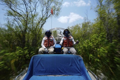 Florida International University professor John Kominoski, right, and research specialist Rafael Travieso travel by airboat through Shark River Slough after collecting water samples and maintaining their automatic sampling equipment in Florida's Everglades National Park, Tuesday, May 14, 2024. (AP Photo/Rebecca Blackwell)