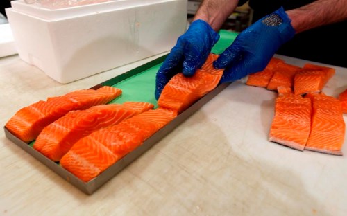 FILE - Canadian certified organic farm-raised King Salmon filets are placed on a tray in a store in Fairfax, Va., April 10, 2015. (AP Photo/Alex Brandon)
