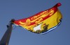 New Brunswick's provincial flag flies on a flagpole in Ottawa, Monday, July 6, 2020. THE CANADIAN PRESS/Adrian Wyld