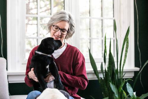 MIKAELA MACKENZIE / FREE PRESS
Puppy raisers like Lorraine Rempel (with Ollie) help make sure future guide dogs are happy, healthy and confident before future training.
