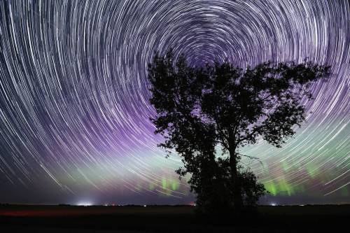 MATT GOERZEN / THE BRANDON SUN FILES
                                Shimmering northern lights on the horizon, stands in a field west of Forrest, while a trail of stars circles the North Star overhead, early Tuesday morning. This image is a composite of 315 photos that were taken over the course of one hour. The photos were then &ldquo;stacked&rdquo; together using a computer program. The image creates a visual representation of the rotation of the earth as the stars move in the night sky.
