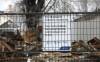 RUTH BONNEVILLE / FREE PRESS FILES
                                The William Whyte Neighbourhood Association sent a report to all three levels of government that shows 140 neighbourhood properties have derelict buildings or rubble and ruin left from fires.
