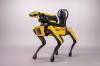 BOSTON DYNAMICS
                                Boston Dynamics’ robotic dog named Spot.