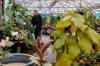 MIKE DEAL / FREE PRESS FILES
                                Dave Hanson, owner of Sage Garden Greenhouses, said they’ve delivered about 100 orders at this point, incurring extra costs.