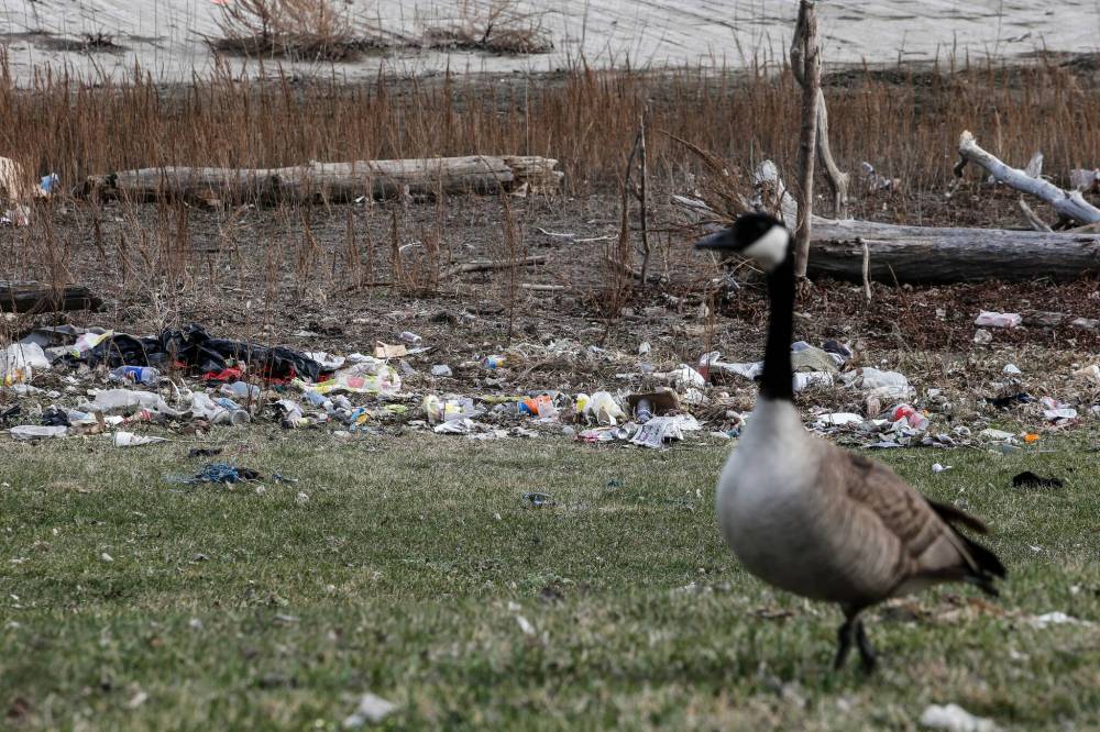 JOHN WOODS / FREE PRESS FILES
Earlier this year, a daycare reported its staff found used needles, opioid overdose medication, human waste, garbage, knives, ammunition, broken glass, a variety of weapons and bear-spray canisters at downtown green spaces.