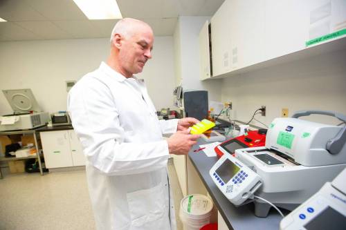 MIKAELA MACKENZIE / FREE PRESS FILES
‘We’re trying to collect a whole bunch of partners throughout Canada,’ says Steven Theriault,
chief executive of Cytophage, of the Winnipeg company’s promotion of phage therapy.