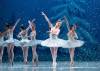 Daniel Crump photo
                                Jaimi Deleau reprises her role as the Sugar Plum Fairy in Nutcracker.