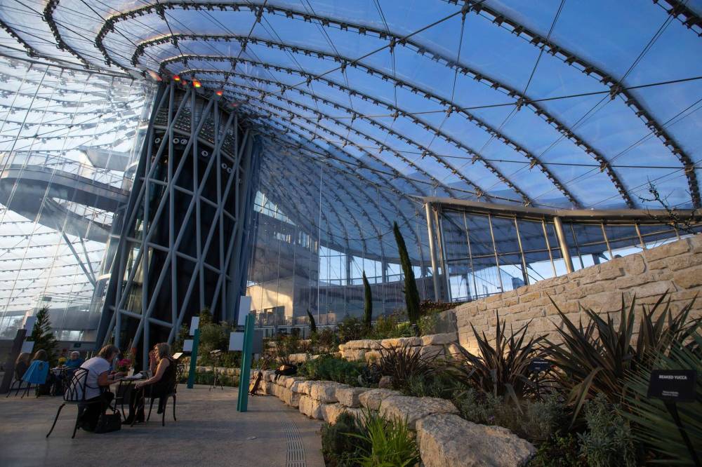 People visit the Mediterranean biome in The Leaf at Assiniboine Park on opening day, Dec. 3, 2022. (Daniel Crump / Free Press files)