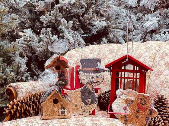 Holiday bird-feed ornaments. (St. Mary's Nursery & Garden Centre)