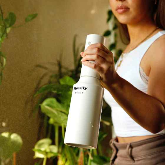 The Mossify Mistr (Shelmerdine Garden Centre)