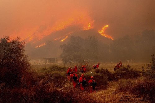 FILE - Inmate firefighters battle the Mountain Fire at Swanhill Farms in Moorpark, Calif., on Nov. 7, 2024. (AP Photo/Noah Berger, File)