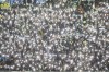 Lazio's fans support their team before the Italian Serie A soccer match between Lazio and Como at Rome's Olympic stadium, Friday, Jan. 10, 2025. (AP Photo/Gregorio Borgia)