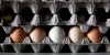 Eggs are shown in this Tuesday, Aug. 24, 201 file photo in Sparks, Md. THE CANADIAN PRESS/AP-Rob Carr