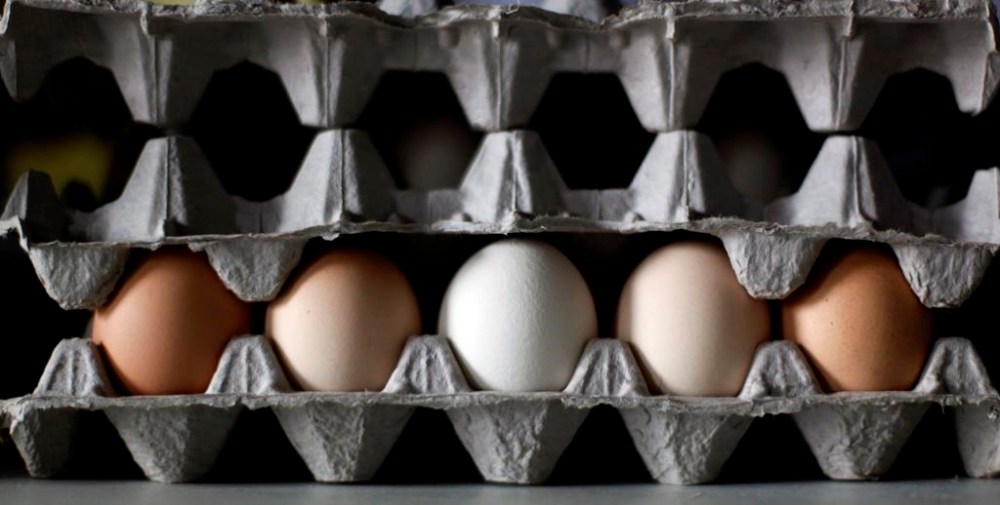 Eggs are shown in this Tuesday, Aug. 24, 201 file photo in Sparks, Md. THE CANADIAN PRESS/AP-Rob Carr
