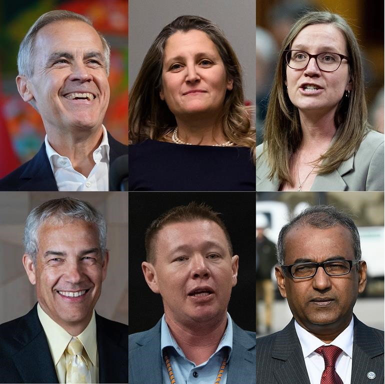 Liberal party leadership candidates are shown in these recent file and handout photos. Top row: Mark Carney, Chrystia Freeland and Karina Gould. Bottom row: Frank Baylis, Jaime Battiste and Chandra Arya. THE CANADIAN PRESS/Darryl Dyck, Justin Tang, Spencer Colby, HO, Adrian Wyld