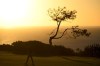Ludvig Aberg walks on the 15th hole of the South Course at Torrey Pines during the second round of the Farmers Insurance Open golf tournament Thursday, Jan. 23, 2025, in San Diego. (AP Photo/Denis Poroy)