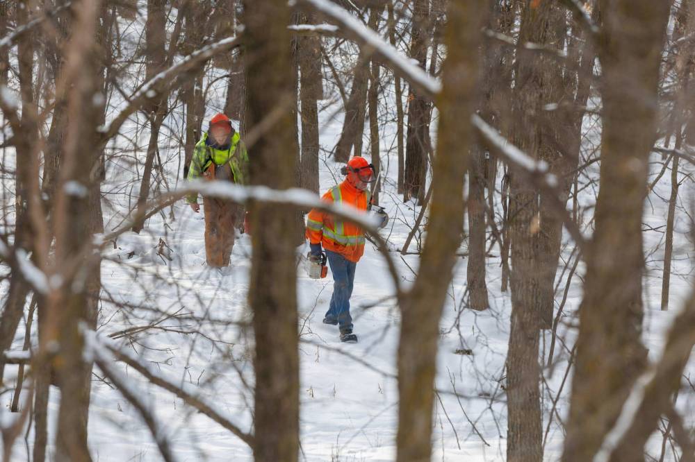 MIKE DEAL / FREE PRESS
A couple of tree cutters make their way through the Touchal Lands development in the Lemay Forest on Wednesday.