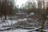 MIKE DEAL / FREE PRESS FILES
                                The area of the Lemay Forest where the trees were cut down in late December 2024.