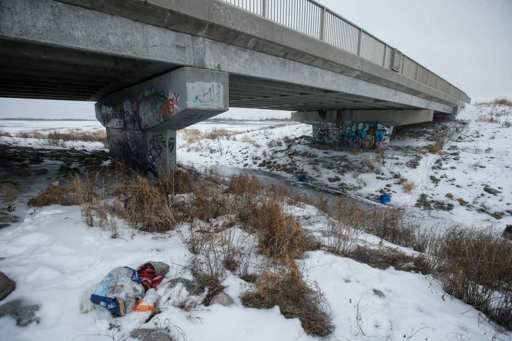 JOHN WOODS / FREE PRESS FILES
Police received three separate reports of dead cats under the bridge near CentrePoint Canada Way in December 2024.