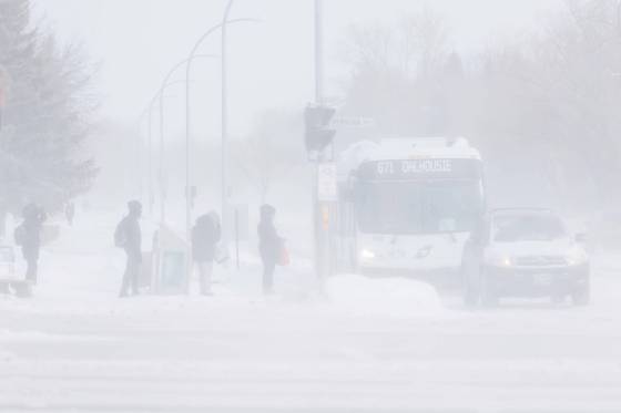 Blowing snow causes poor visibility in Winnipeg during a recent cold snap. (Mike Deal / Free Press)