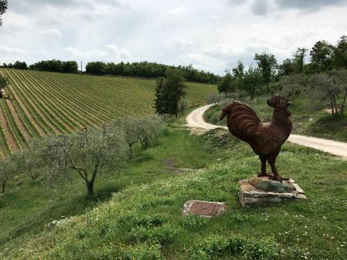 Courtney Bonnell / Associated Press files
                                The black rooster is a symbol associated with the Chianti Classico region, and can be found on all bottles coming from the Chianti sub-appellation.