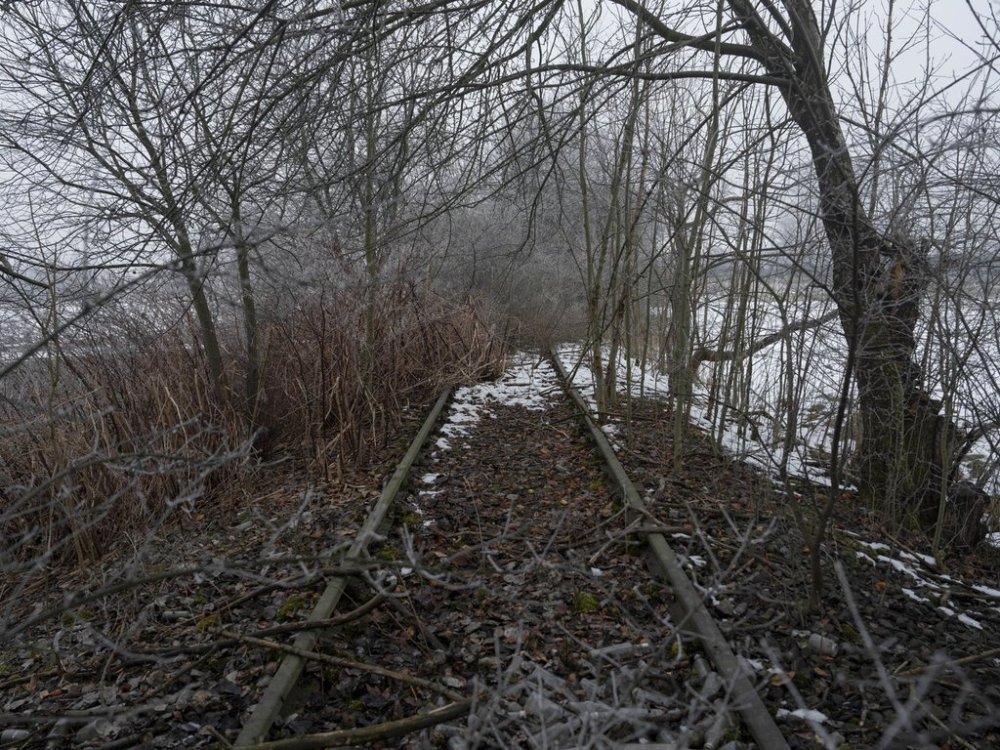 Trees and bushes growing around the old railroad tracks once used to transport Jews and others from across Europe to Auschwitz, the Nazi German extermination and labor camp, in Oswiecim, Poland, Thursday, Jan. 23. 2025. (AP Photo/Oded Balilty)