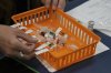 FILE - Vaccines are prepared for students during a pop-up immunization clinic at the Newcomer Academy in Louisville, Ky., on Thursday, Aug. 8, 2024. (AP Photo/Mary Conlon, File)