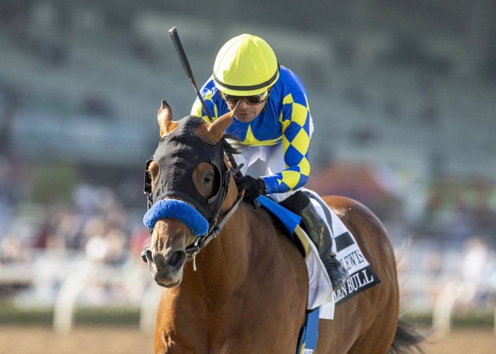 In a photo provided by Benoit Photo, Citizen Bull and jockey Martin Garcia win the Grade III, $200,000 Robert B. Lewis Stakes horse race Saturday, Feb. 1, 2025, at Santa Anita Park in Arcadia, Calif. (Benoit Photo via AP)
