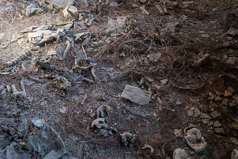 Human remains found by Syrian civil defense workers, known as the White Helmets, lie on the floor of a basement in Sbeneh, outskirts of Damascus,, Syria, Tuesday, Jan. 28, 2025. According to the White Helmets, the charred remains belong to at least 26 victims of the Bashar Assad regime. (AP Photo/Omar Albam)