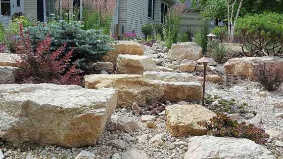 Dry creek bed (Colleen Zacharias)