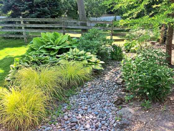 Rain garden collects water (Sean James)