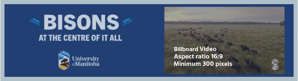 Free Press in-stream video billboard ad specifications.