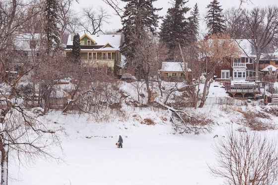 A dog and its caretaker go for a walk along on the Assiniboine River Thursday morning despite the blowing snow and temperatures hovering around -17 C. (Mike Deal / Free Press)