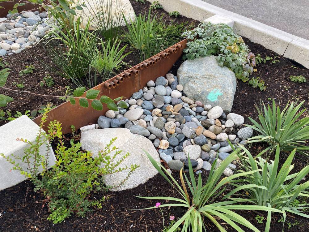 Weir barriers are built into this rain garden to hold water in place while allowing for maximum infiltration.