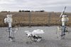 U.S. President Donald Trump says he'd like to see the Keystone XL pipeline brought back from the dead, garnering an enthusiastic reception from Alberta's premier but a tepid one from the company spun off from its erstwhile proponent. A Keystone pipeline pumping station is surrounded by corn fields in rural Milford, Neb., Thursday, Jan. 9, 2020. THE CANADIAN PRESS/AP/Nati Harnik